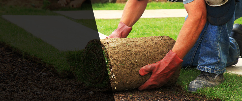 Kittrell Landscapers